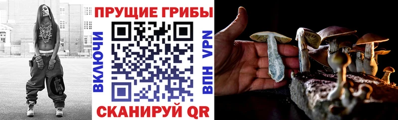 Псилоцибиновые грибы прущие грибы  Топки 