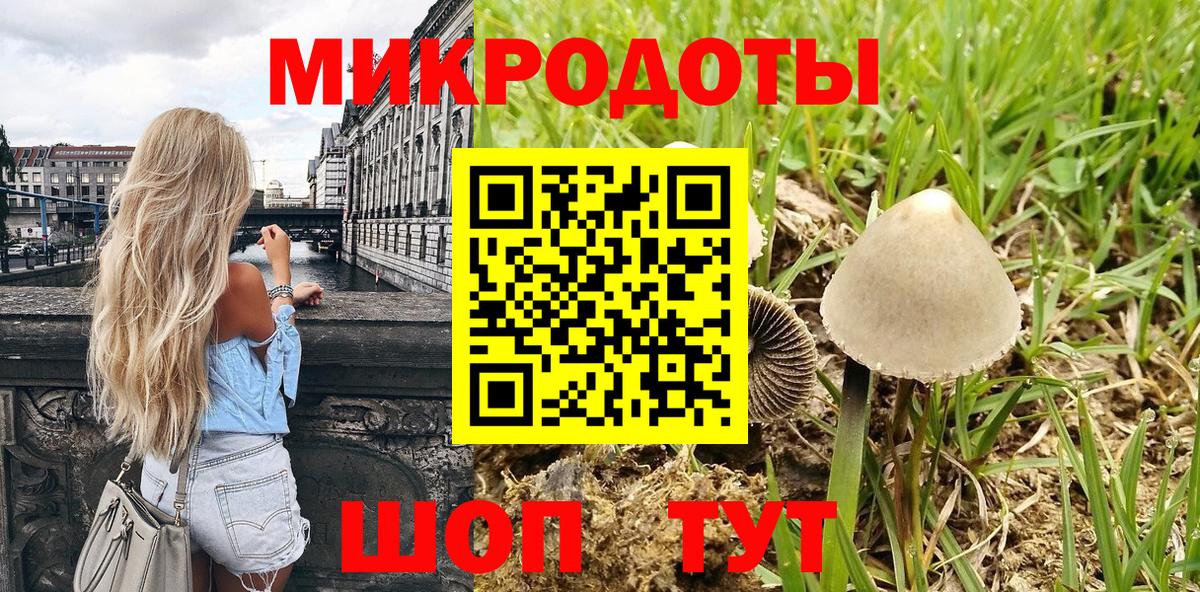 Галлюциногенные грибы мицелий  Псилоцибиновые грибы GOLDEN TEACHER  Топки  Вход с VPN 