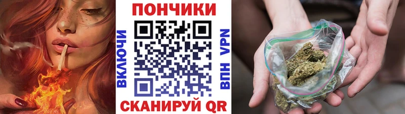 где купить   Топки  Марихуана OG Kush 