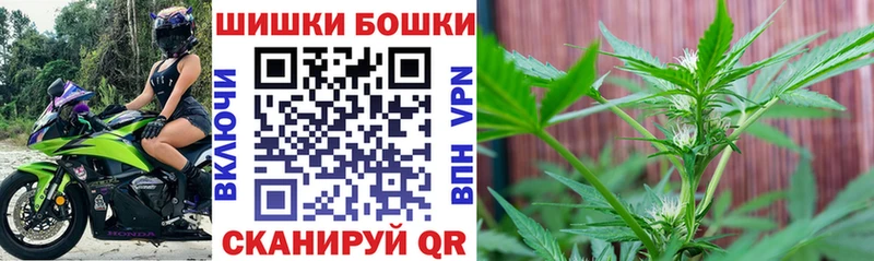Канабис OG Kush Топки